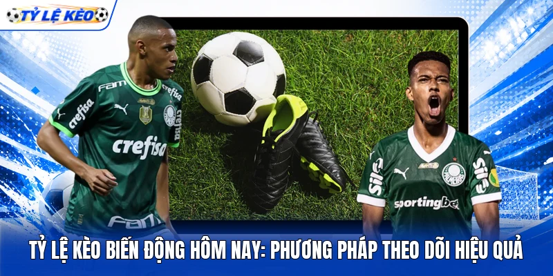 Tỷ Lệ Kèo Biến Động Hôm Nay: Phương Pháp Theo Dõi Hiệu Quả