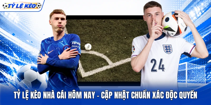 Tỷ Lệ Kèo Nhà Cái Hôm Nay - Cập Nhật Chuẩn Xác Độc Quyền